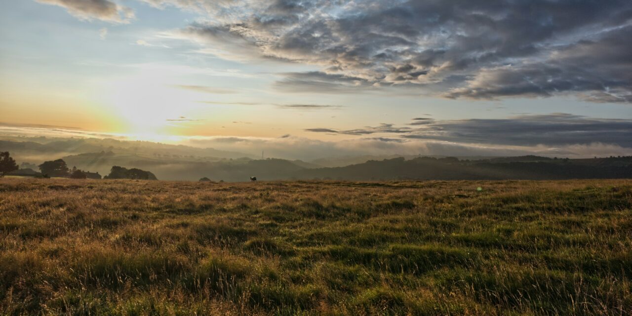 Daily Motoring Brief: UK Industry Pressure, Safer Cars and Toyota’s Software Push