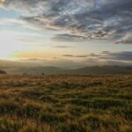 Daily Motoring Brief: UK Industry Pressure, Safer Cars and Toyota’s Software Push