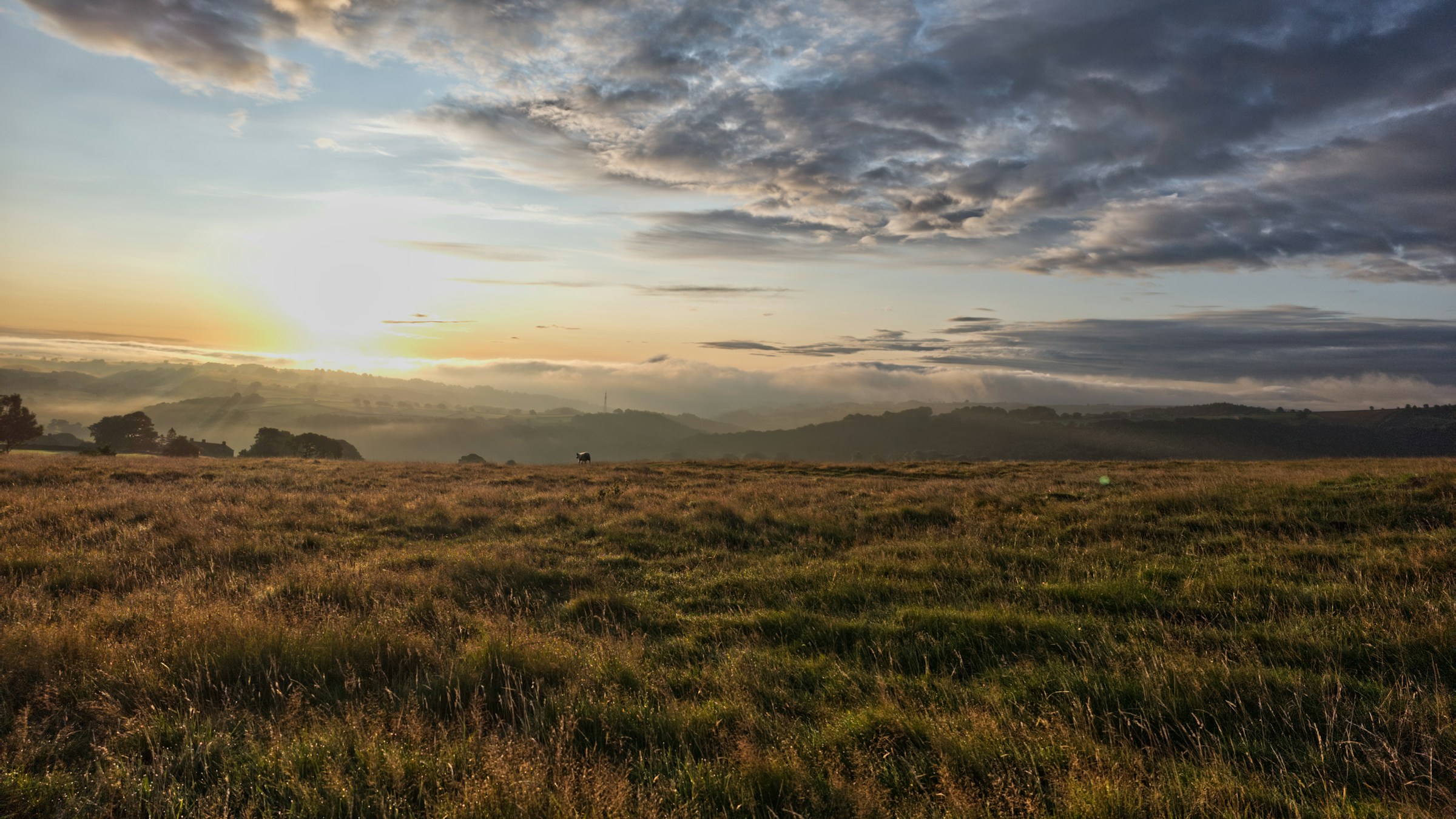 Moorland road landscape suited to a North York Moors drive