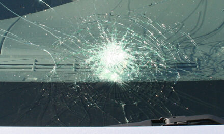 Windscreen chip MOT fail UK: when it passes and when it does not