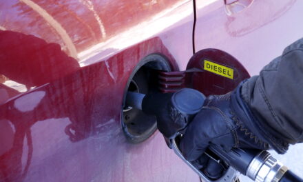 Put petrol in a diesel? The first five things to do before you turn the key