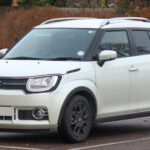 A used Suzuki Ignis suits city life brilliantly, if this shortlist checks out